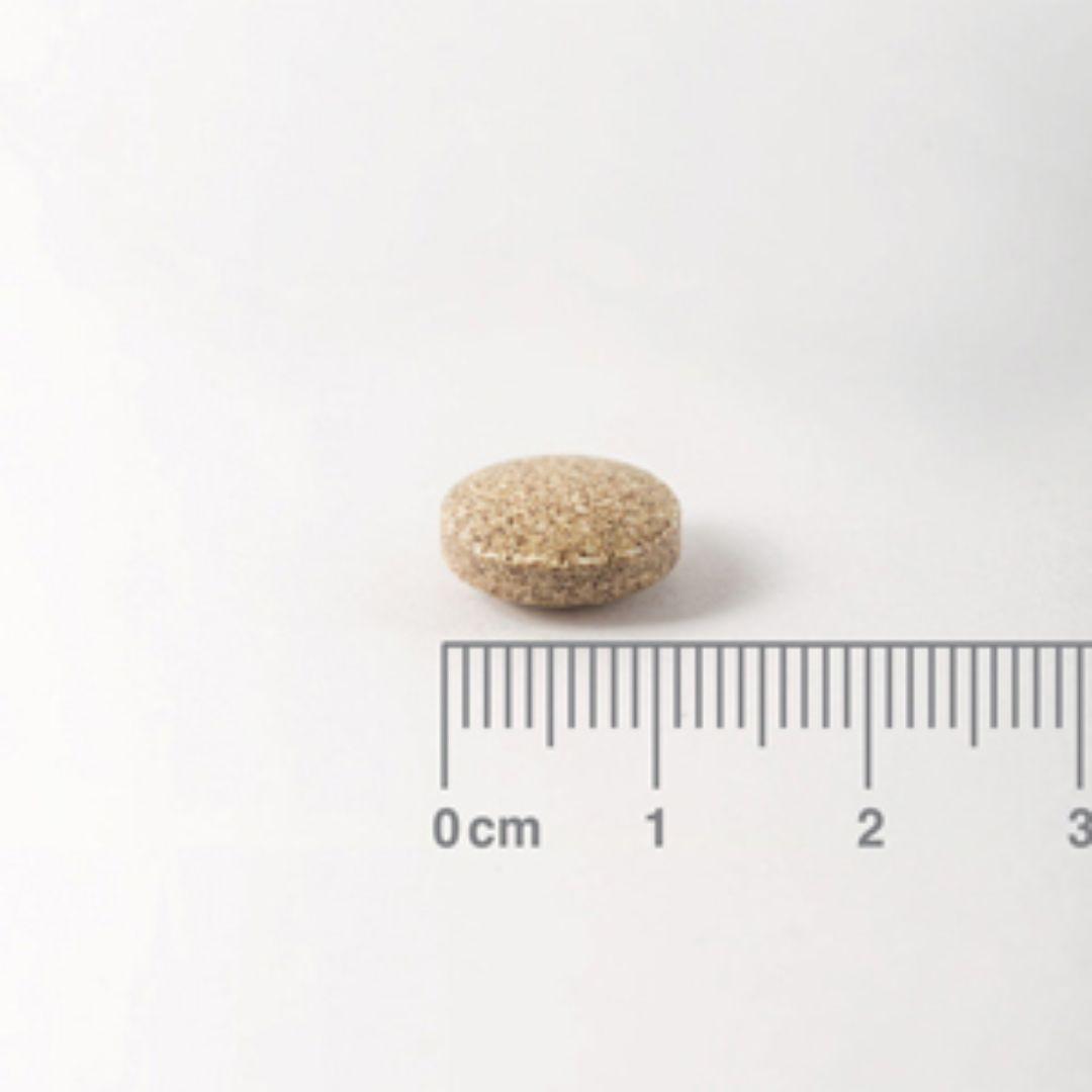 Ginkgo Biloba 6 000 mg, Lamberts 60 tabletter