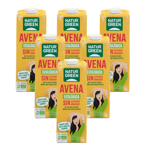 Confezione da 6 bevande d'avena BIO NaturGreen 1 L