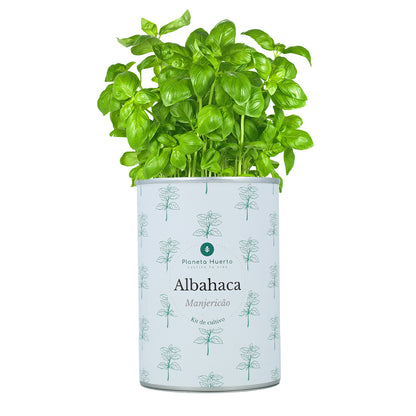 Kit de culture aromatique Coffre Planeta Huerto
