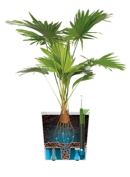 Doniczka z automatycznym nawadnianiem Greensense Aquacare Square Elho 30 cm charcoal grey