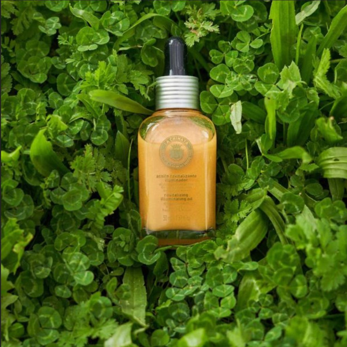 Revitaliserende en verhelderende olie, La Chinata, 50 ml