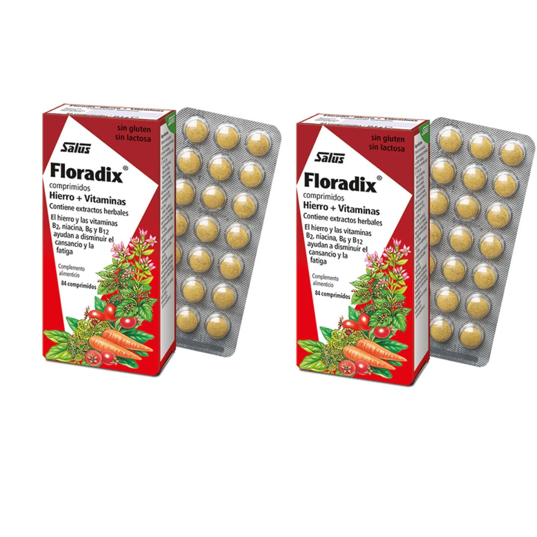 Pack de 2 Floradix Salus 84 comprimés
