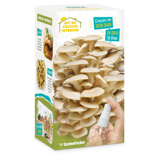 Kit pour cultiver des champignons Pocket Gourmet à la maison, cadeau idéal Garden Pocket
