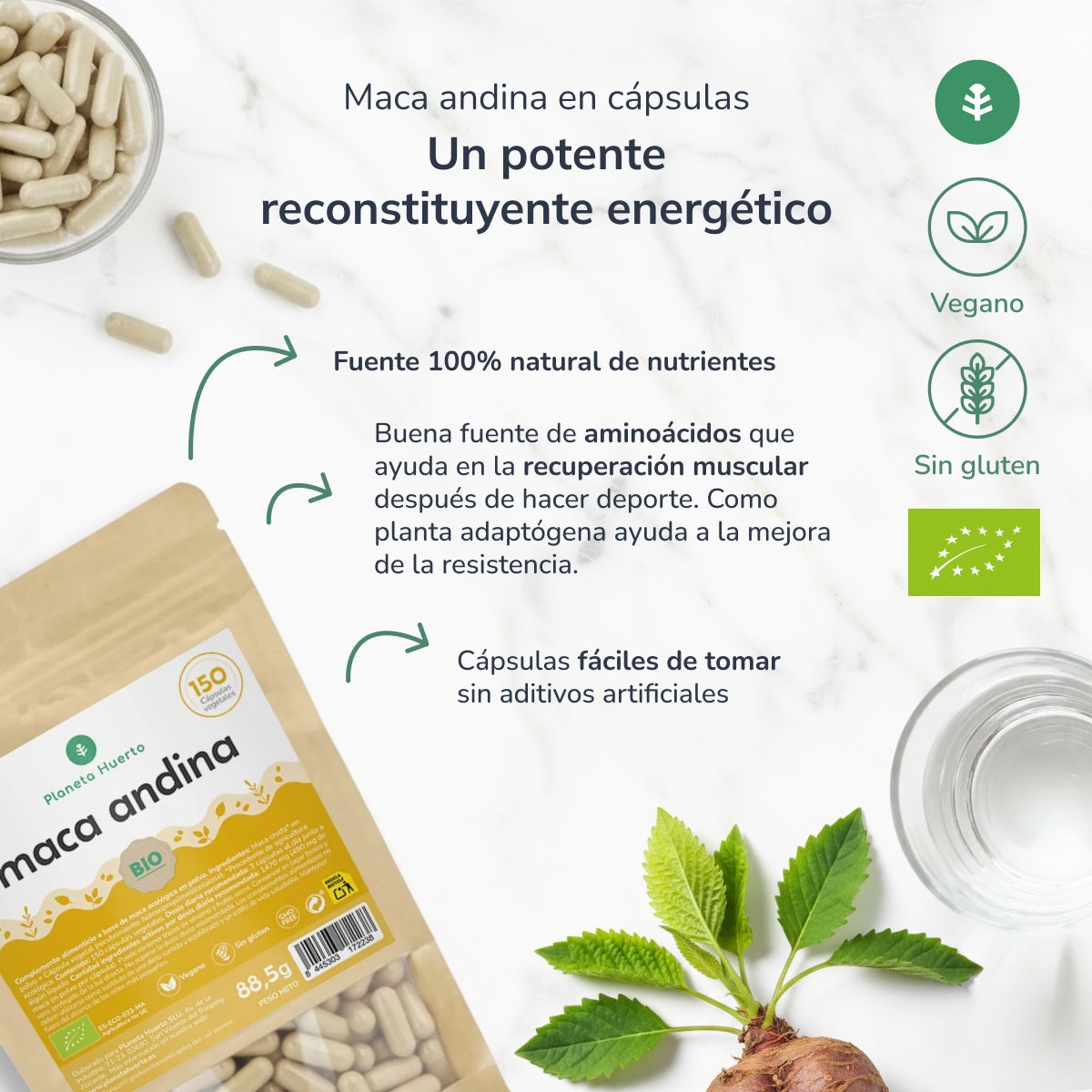 Organiczna Maca Planeta Huerto 150 kapsułek
