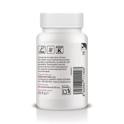 Folsäure mit verzögerter Freisetzung, Soria Natural, 90 Tabletten