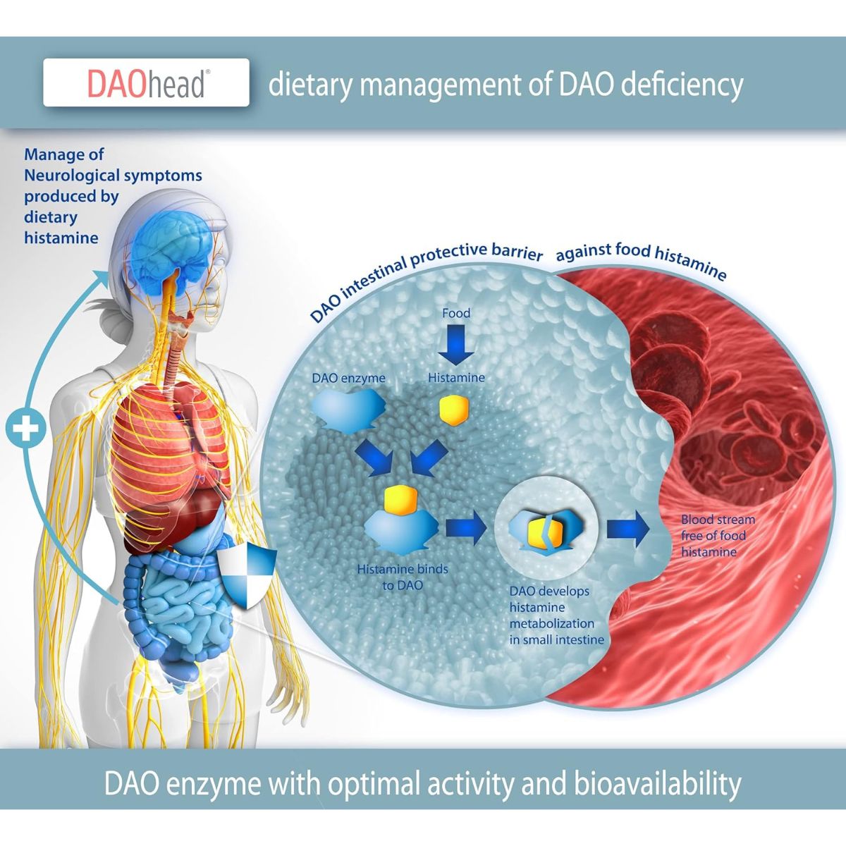 DAOhead® 60 kapsułek z tabletkami odpornymi na działanie żołądka