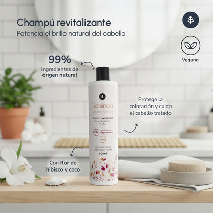 Shampoing booster de brillance à la fleur d'hibiscus et à la noix de coco Planeta Huerto 500 ml