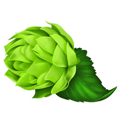 Shampooing volumateur Miel et bière 250 ml