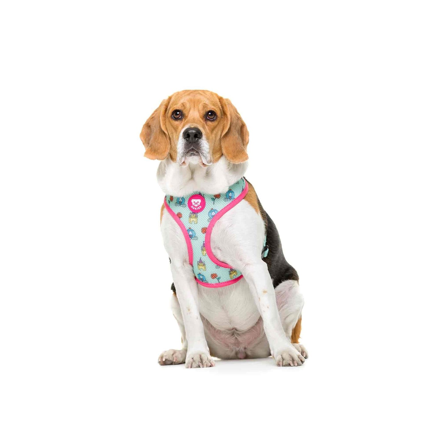 PRINCESS Dukier L reversible dog harness