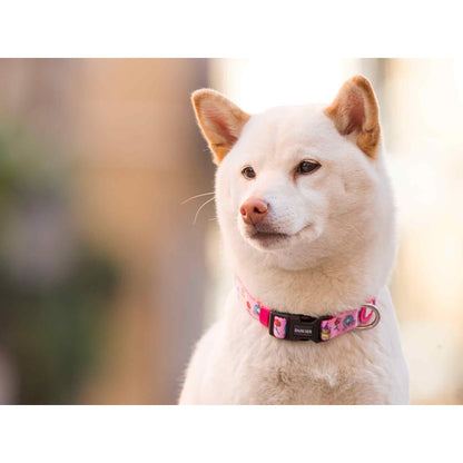 Hondenhalsband PRINCESS Dukier XS