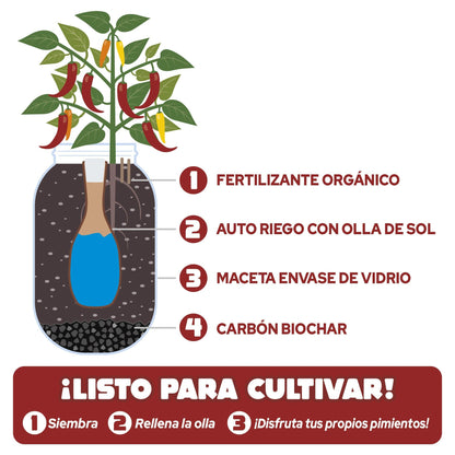 Indoor Growing Kit Snack Peppers