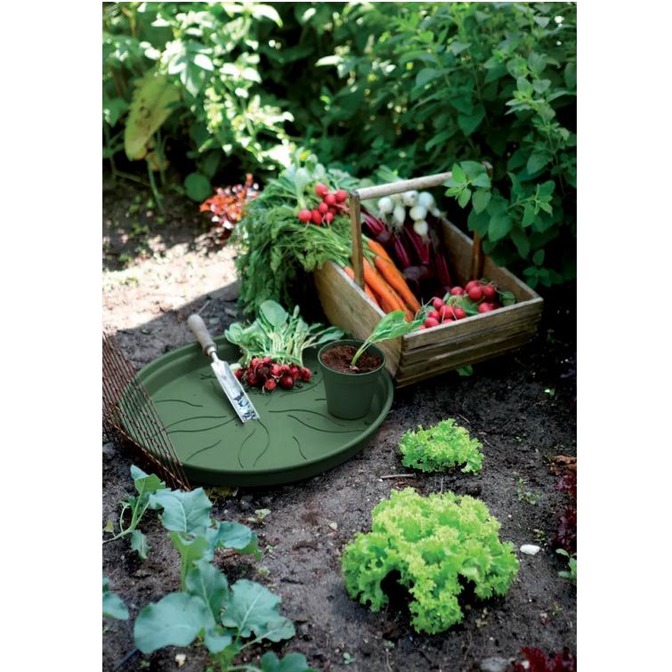 Teller Green Basics Elho Grün 22 cm