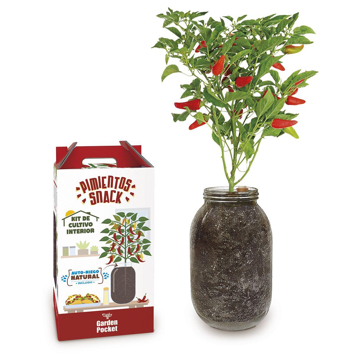 Indoor Growing Kit Snack Peppers
