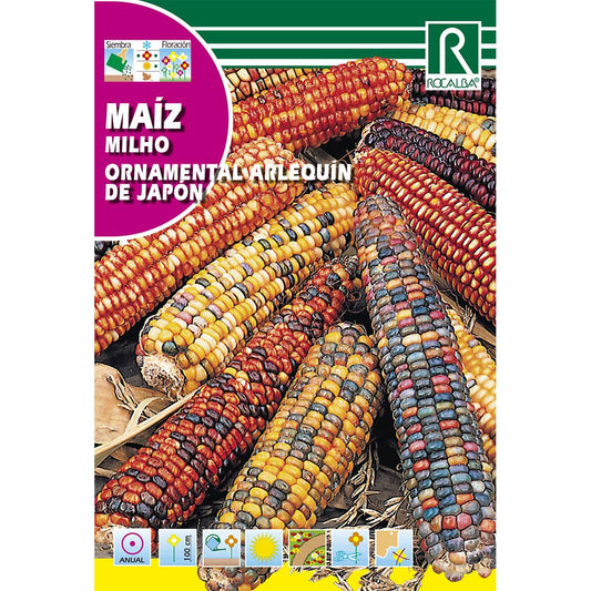 Japanese Harlequin Ornamental Corn Seeds