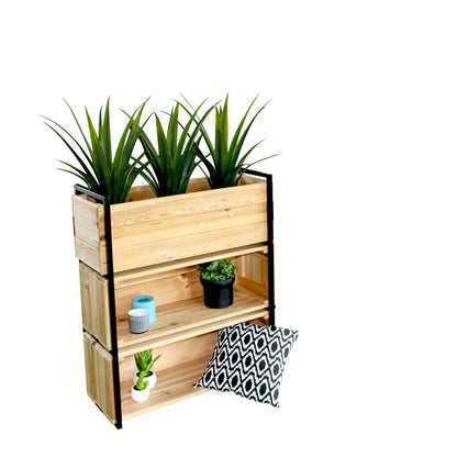 Doniczka Blakea 3 przegródki