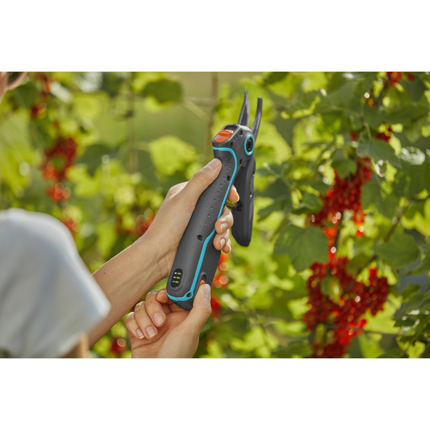 Nożyce ogrodowe akumulatorowe AssistCut GARDENA