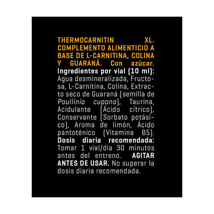 Thermocarnitin XL Energie und Fettverbrennung Powergym