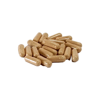 Répulsif naturel contre les tiques AniForte 60 gélules Chiens +35 kg