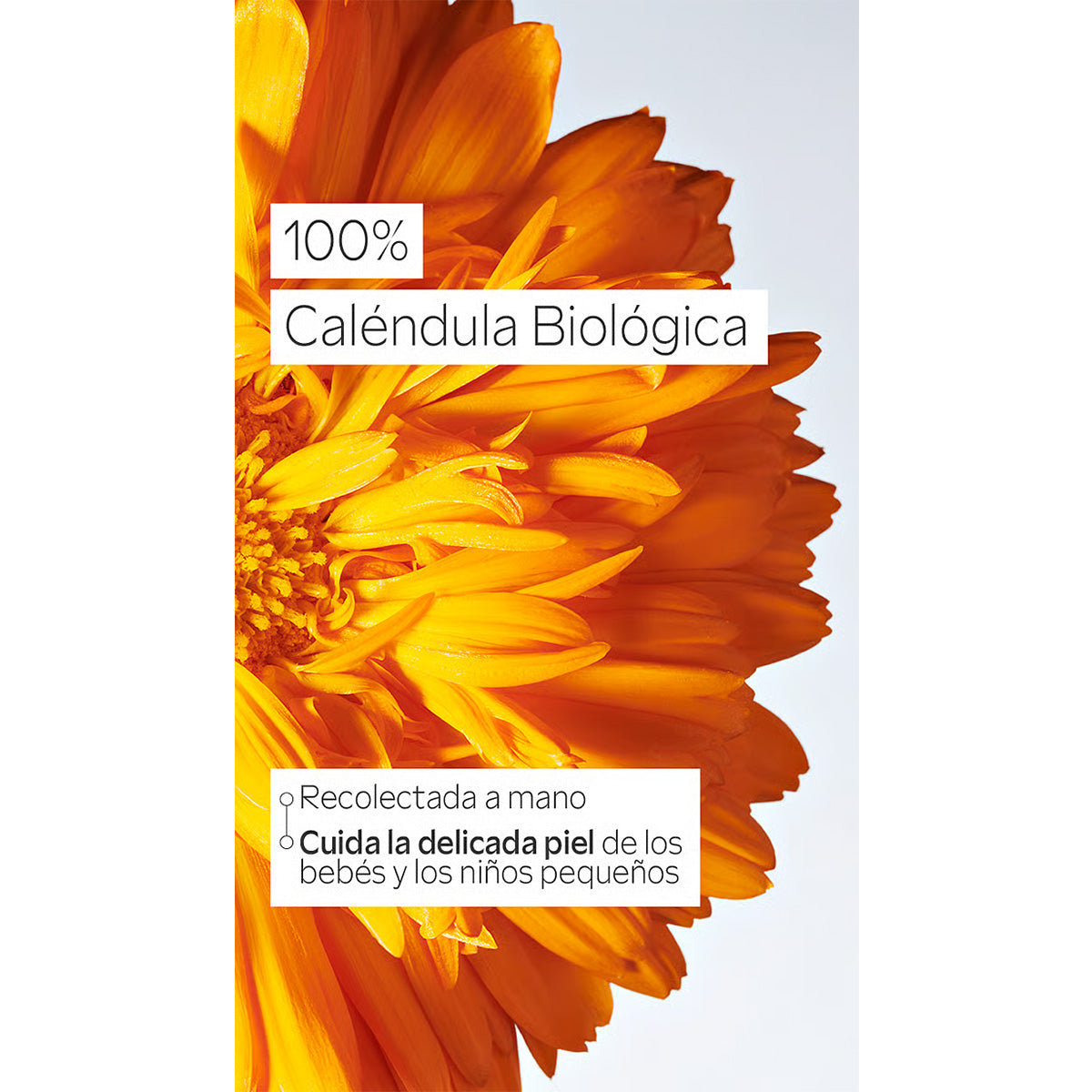 Weleda Calendula-Gesichtscreme für Babys, 50 ml