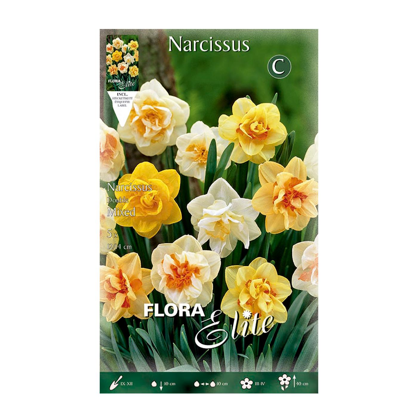 Double mix daffodil bulbs, 5 pcs