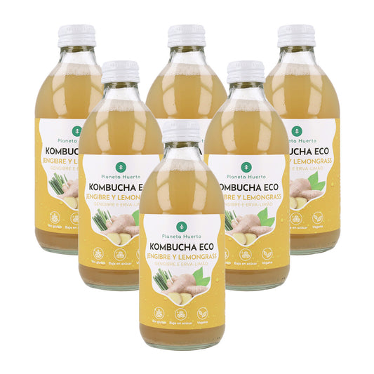 Opakowanie 6x Kombucha ECO Imbir i trawa cytrynowa Planeta Huerto 330 ml