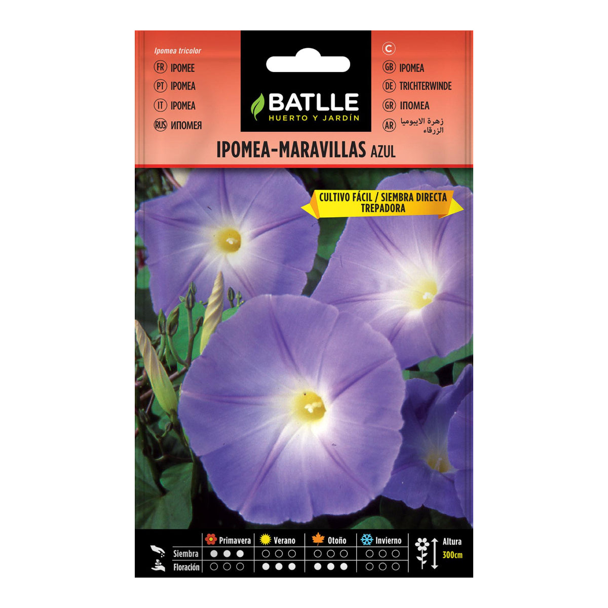 Semi di Ipomea blu Batlle