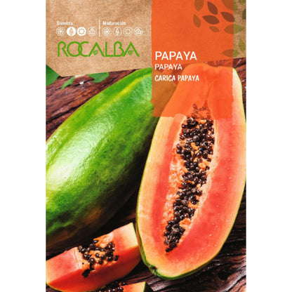 Graines de papaye Carica papaya