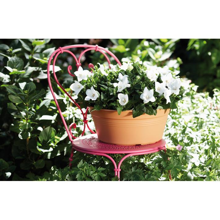 Okrągła miska Green Basics Elho Antracita 33 cm