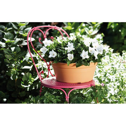 Okrągła miska Green Basics Elho Antracita 33 cm