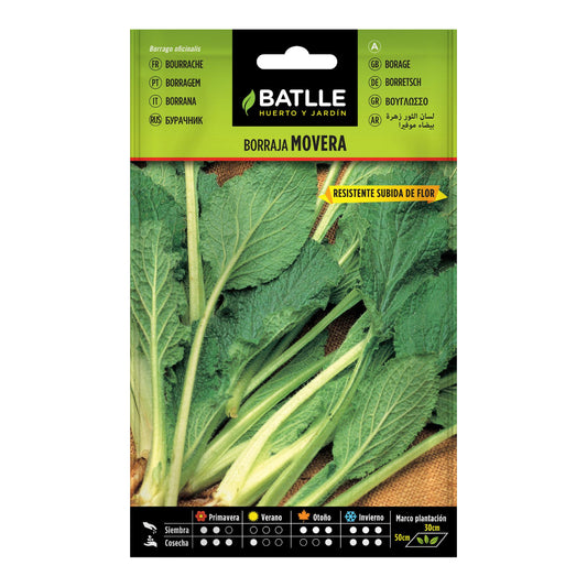 Semi di borragine Movera Batlle