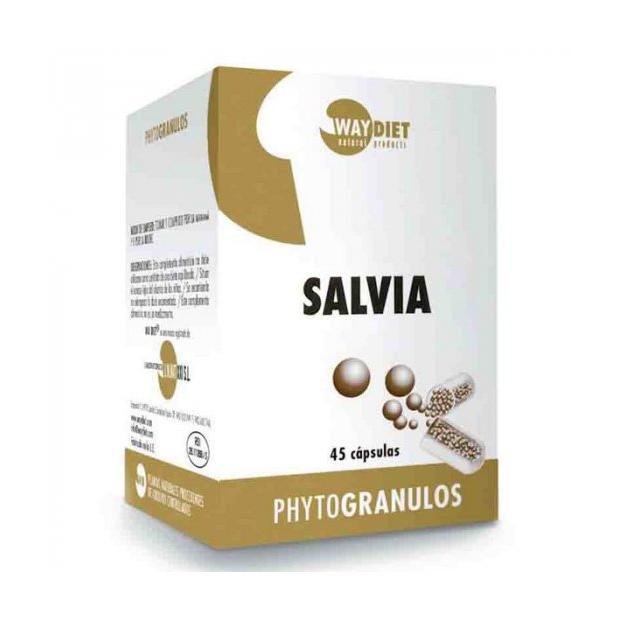 Phytogranulos 400 mg WayDiet 45 Kapseln Grüner Tee