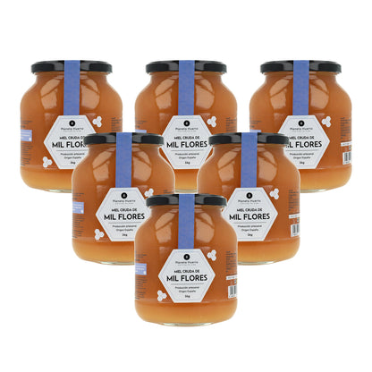 Pack 6x Miel Cruda de Mil Flores Planeta Huerto 1 Kg