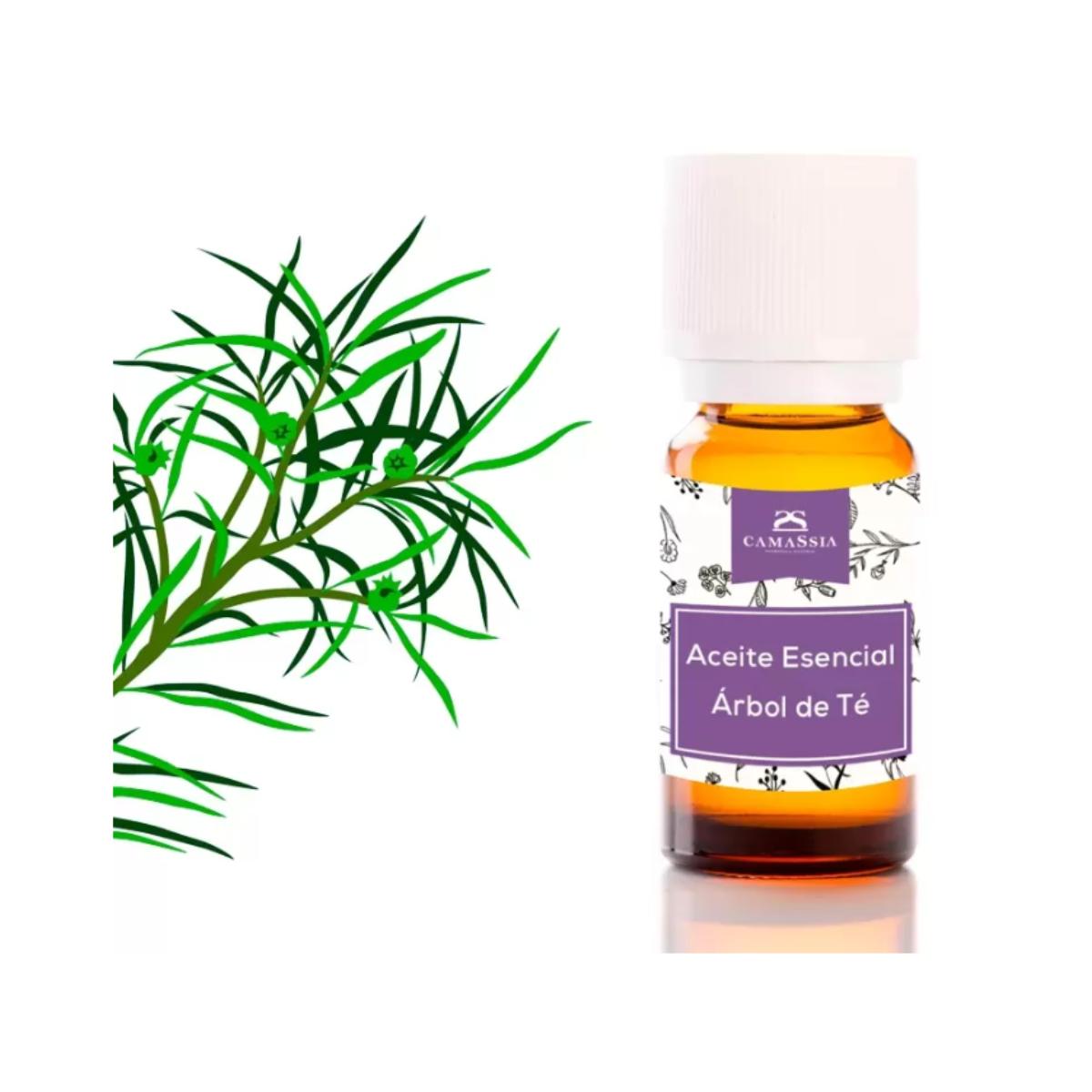 Ätherisches Teebaumöl (Melaleuca Alternifoli). Camassia 30 ml