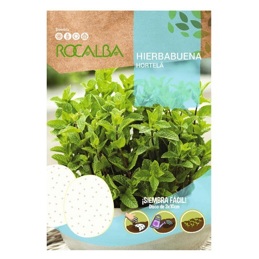 Nasiona mięty zielonej w krążkach, Rocalba