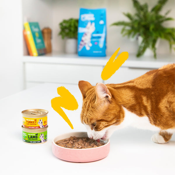 Edgard & Cooper wet cat food in turkey and chicken chunks sauce 85 g