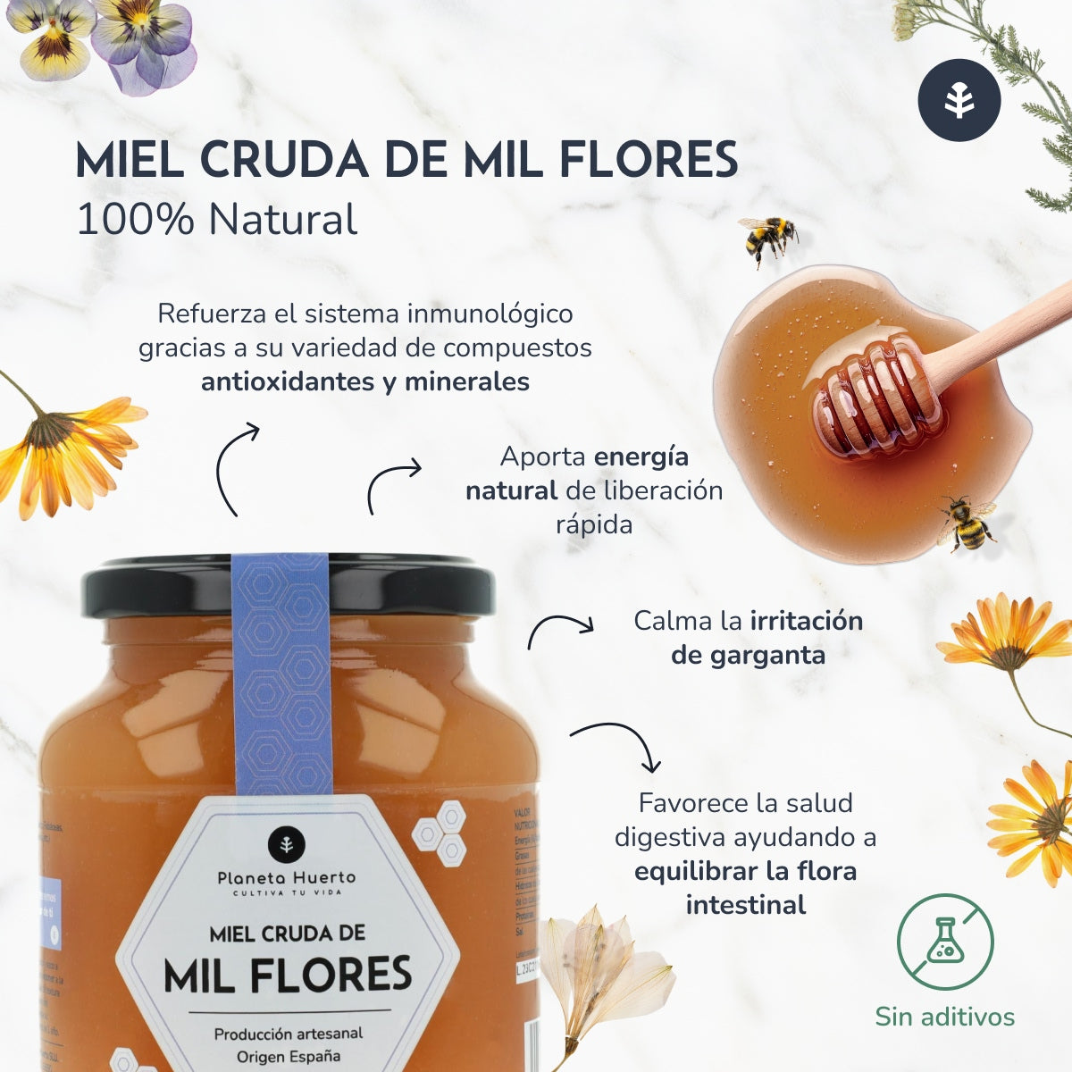 Pack 6x Miel Cruda de Mil Flores Planeta Huerto 500 g