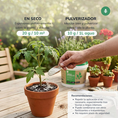 Zestaw 3x ziemia okrzemkowa Planeta Huerto 2 kg