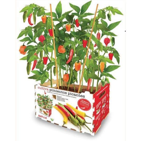 Premium Hot Pepper Garden Batlle