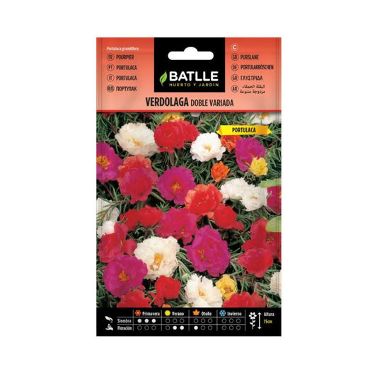 Graines de pourpier Batlle