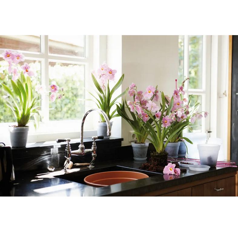 Orchideeënpot Green Basics Elho 14 cm