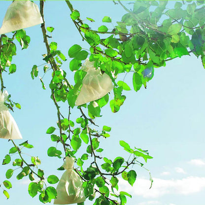 Housses de protection pour fruits Fruitsac Nortene 50 unités 17 x 22 cm.