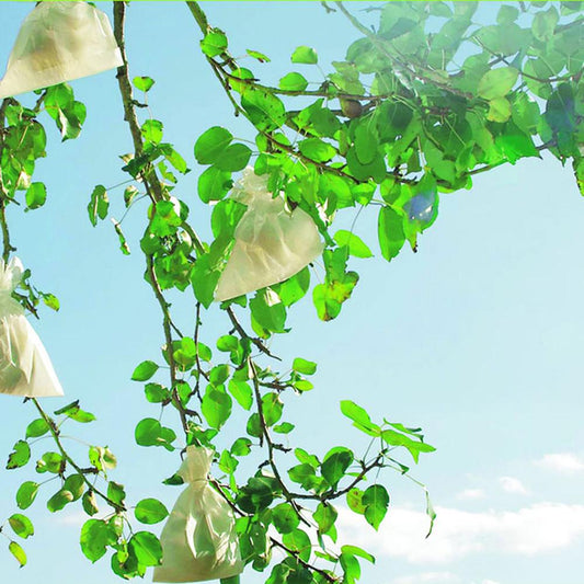 Beschermhoezen voor fruit Fruitsac Nortene 50 stuks 20 x 30 cm.