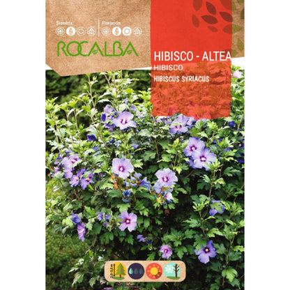 Hibiskusfrön Hibiscus syriacus