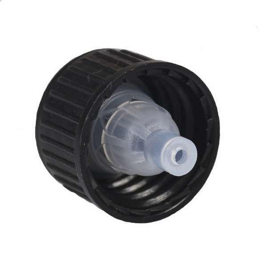 Schwarzer Verschluss mit Tropfer, Camassia