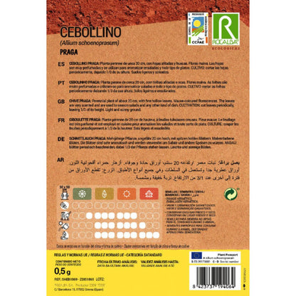 Graines de ciboulette Praga bio Rocalba