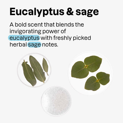 Super leaves men Déodorant Eucalyptus & Sauge 75 g