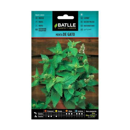 Catnip seeds Batlle