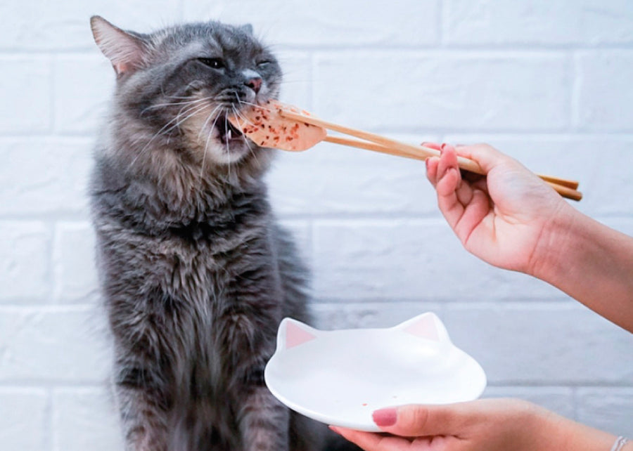 Kit Cat FilletFresh – Gegrillte Makrele 30 g Natürlicher Snack für Katzen