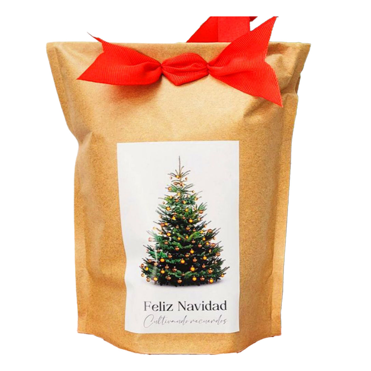 Kit de culture de sapin de Noël en kraft, cadeau inoubliable Garden Pocket