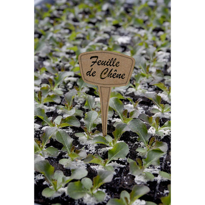 Pack de 5 étiquettes de plantation 30 % fibre écologique